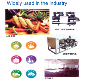 5 PS Kalt kolben Typ Semi Hermetic Kühl kompressor verwendet R404a und R134a Kühl kompressor Hub kolben - Product Image 6