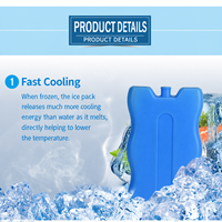 Glacière isotherme portable réutilisable avec logo personnalisé, lot de 12, pour pique-nique, boissons, fruits de mer, médicaments, chaîne du froid