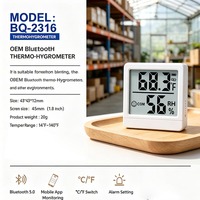 Thermo-hygromètre Bluetooth, moniteur numérique de température et d'humidité de haute précision, synchronisation avec application, écran LCD, alarme alimentée par batterie pour