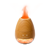 Diffuseur d'arômes USB-C mini 100 ml, arrêt automatique et effet flamme, lampe de sel de l'Himalaya portable pour la maison/le bureau