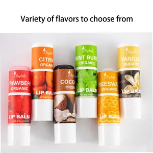 Private Label Natural Long-lasting Moisturizing Chapstick Lip Gloss 6 Fruit Flavor Blueberry Organic Lipstick Embellish Lip Balm