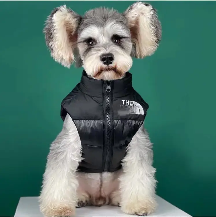 Pet Apparel Dog Winter Puffer Jackets Luxury Dog Jacket Waterproof Zipper Dog Clothes Coat