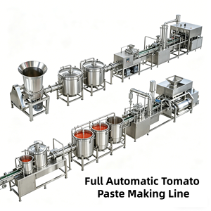 Ligne <span class=keywords><strong>de</strong></span> production clé en main <span class=keywords><strong>de</strong></span> <span class=keywords><strong>pâte</strong></span> <span class=keywords><strong>de</strong></span> tomate 0,5-20t/h, machine automatique <span class=keywords><strong>de</strong></span> fabrication <span class=keywords><strong>de</strong></span> sauce ketchup - Product Image 1