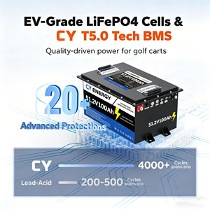 Paquete de Baterías de Iones de Litio de 51.2V 100Ah 8D con BMS Inteligente, Fuera de Red, 100A, 4000 Ciclos, Celdas de Grado A de Larga Duración (Más de 8 Años), 48V100Ah - Product Image 5
