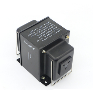 220V 110V TL-1000W 500W bước-lên và xuống biến áp - Product Image 5