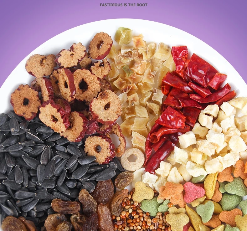 parrot food sun conure