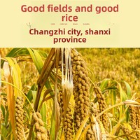 Millet jaune biologique de Qinzhou Chichuan 2,5 kg Récolte fraîche Millet authentique de qualité supérieure du Shanxi Durée de conservation de 365 jours Sac