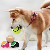 Logo personalizzato di fabbrica 2.5 "di diametro in gomma ecologica per cani giocattoli per cani sicuri per animali domestici per allenamento di esercizi palline da Tennis per animali domestici