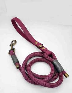 Mode Premium <span class=keywords><strong>Anti</strong></span> <span class=keywords><strong>aboiement</strong></span> tissu Paracord corde chaîne chien suivi de luxe en cuir colliers et <span class=keywords><strong>laisse</strong></span> - Product Image 5