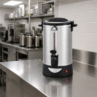 Chauffe-eau électrique commercial en acier inoxydable 25L pour hôtels et restaurants – Distributeur d'eau chaude