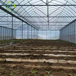 Low Cost Green House Acessórios Conjunto inteiro Portas deslizantes Painéis De Policarbonato Agricultura Estufas - Product Image 3