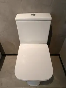 फैक्टरी मूल्य सफेद एक टुकड़ा सस्ते पानी कोठरी लक्जरी बाथरूम शौचालय