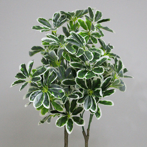 Árbol Artificial Nuevo, Planta Artificial, Árbol Artificial de Schefflera <span class=keywords><strong>Arboricola</strong></span> con Maceta Decorativa, Venta al por Mayor de Fábrica China - Product Image 3