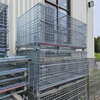 Cage de stockage empilable en treillis métallique galvanisé à chaud de haute qualité, conteneur métallique d'entrepôt, équipement de stockage de marchandises
