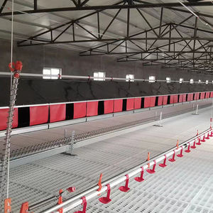 Equipo avícola equipo avícola para cría de pollos casa avícola para 10000 pollos - Product Image 1