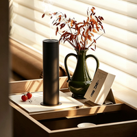 Diffuseur d'huiles essentielles portable sans fil 100 ml en métal, sans eau, à piles, écologique, pour hôtel