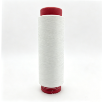 Fil 100% Polyester DTY 150D/144F de Haute Qualité à Prix Abordable, Blanc Brut Semi-terne, Torsion S, Grade AA SIM pour la Couture