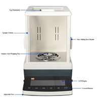 Balance analytique semi-micro haute précision à double plage 120g/31g 0,1mg 0,01mg, instrument de pesage de laboratoire à calibration externe