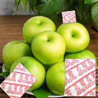 Directo de fábrica 1G 5g Bola púrpura Fruta Vegetal Conservante Etileno Bolsa absorbente KnMO4 Al2O3 Agente Químico Auxiliar