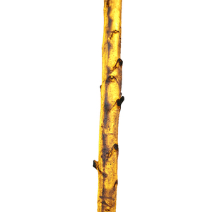 Iluminación de tronco de abedul artificial <span class=keywords><strong>para</strong></span> decoración interior - Product Image 3