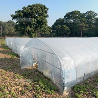 Serre Agricole Tropicale Intelligente de 500m² : Tunnel pour la Culture de Tomates et Structures de Jardin Potager