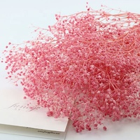 Bunga Gypsophila Kering Babybreath yang Diawetkan Hari Ibu Hari Valentine Wisuda Natal Thanksgiving Tahun Baru Imlek