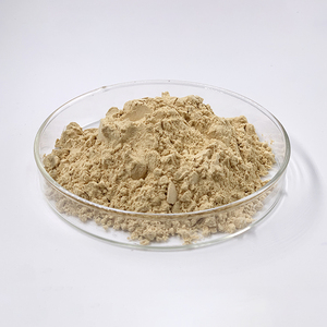 Organik sertifikalı Panax Ginseng özü özü 5%-80% Ginsenosides Ginseng özü tozu - Product Image 3