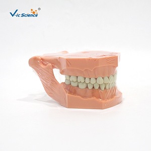 Moules dentaires et modèles biomédicaux sur mesure - Product Image 2
