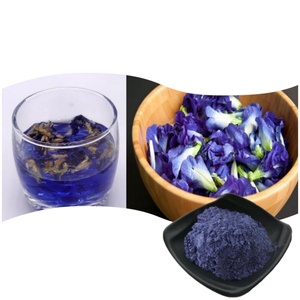 Polvo Orgánico de Flor de Guisante Mariposa Azul Matcha, Grado Alimenticio, Extracto de Hierbas, Certificado Halal, Venta al por Mayor, Envase en Botella de Malla y Tambor - Product Image 1