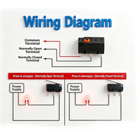 Micro-interrupteur étanche WZ100A04-W2, avec fil de connexion, étanchéité IP67, différents styles disponibles - Vente directe d'usine