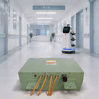 Batterie LiFePO4 25,6 V 80 Ah pour robot de soins aux personnes âgées, alimentation sécurisée pour robot assistant, fabrication OEM personnalisée, vente en gros