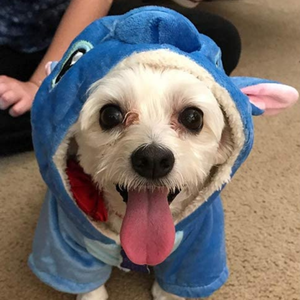 Unny <span class=keywords><strong>Stitch</strong></span> Cosplay et ostume ARM leleece arartoon og mas awakuss utfit - Product Image 5