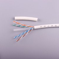 Câble réseau Ethernet Cat6 UTP 305M en vrac, testé et certifié BC Cooper, service DDP, câble réseau intérieur CAT6 4 paires