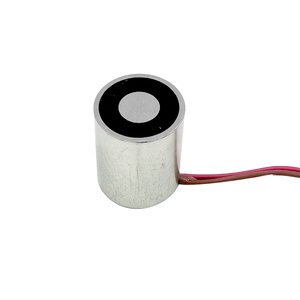 JSP-2025K 5Kg 10Lbs 3V <span class=keywords><strong>6V</strong></span> 12V 24V 48V Giữ Solenoid Giữ Vĩnh Viễn Nam Châm Điện <span class=keywords><strong>Dc</strong></span> Đối Diện - Product Image 1