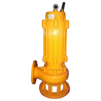 Pompe d'aspiration des eaux usées Pompe à eaux usées Pompe centrifuge submersible d'assèchement des eaux usées