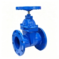 Vanne à opercule manuelle à soufflet à bride en acier forgé/acier moulé pour eau et huile thermique haute température, normes GB ANSI DIN JIK