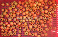 Shouchuang Commerciële Fruitputmachine Olijfbak Extractiemachine Kersen Pitter Put Verwijderingsmachine