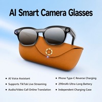 Lunettes Intelligentes de Traduction IA avec Étui de Recharge Autonome, Batterie 290 mAh, Diffusion en Direct et Assistant Vocal IA