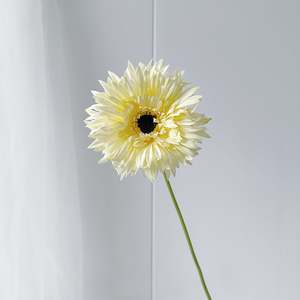 ดอกเจอร์เบอร์ราสีสันสดใสสำหรับจัดดอกไม้ <span class=keywords><strong>ราคา</strong></span>สุดคุ้ม โปรโมชั่นลดราคา - Product Image 3