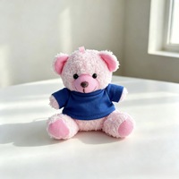 SongshanToys OEM Personnalisé Marron Gris Rose Blanc Pendentif Porte-clés Ours en Peluche Miniature 10 cm avec Logo et T-shirt Imprimé Coloré
