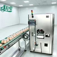 Machine d'inspection visuelle automatique pilotée par l'IA avec rejet automatique pour l'inspection de la qualité des œufs