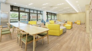 Revêtement de <span class=keywords><strong>sol</strong></span> <span class=keywords><strong>Gerflor</strong></span> Creation 30 LVT 0441 Chêne Miel, Planches de vinyle de luxe imperméables pour bureaux et commerces - Product Image 6