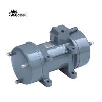 ACE Externer Betonvibrator Motor ZW-Serie 1PS-4PS 220V/380V Hochfrequenz 3000Hz Tragbarer Vibrator 1-8m Flexibler Schaft