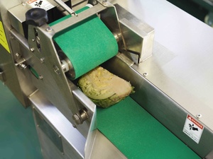 Thương mại Nhà bếp rau cắt và băm nhỏ máy trái cây và rau Thiết bị rửa - Product Image 5