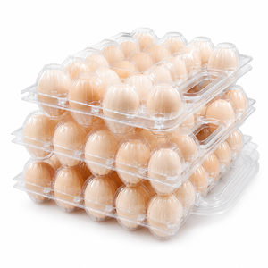 Porte-œufs portable léger et durable 2026, très vendu, avec 28/30 plateaux, en <span class=keywords><strong>plastique</strong></span> PET à bulles haute visibilité, pour œufs - Product Image 1