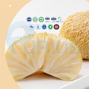 מכירה ישירה מהיצרן, תוסף תזונה לבריאות המעיים, כמוסות פרוביוטיקה עם פטריית רעמת האריה ו-L-גלוטאמין, להזנת הקיבה. - Product Image 2