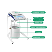 0.01g Kit d'équilibre de gravité spécifique de densité analytique hydrostatique électronique prix