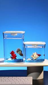 Meilleur vendeur AS <span class=keywords><strong>Aquarium</strong></span> Petit <span class=keywords><strong>aquarium</strong></span> <span class=keywords><strong>Aquarium</strong></span> avec éclairage LED aux coins arrondis pour table de bureau - Product Image 2