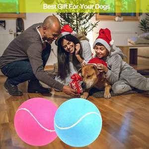 Pelota de tenis para mascotas de goma duradera con logotipo personalizado, juguete masticable para entrenamiento de perros y ejercicio, tamaño de 65mm - Product Image 6