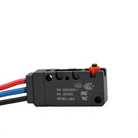 Micro-interrupteur étanche à bouton-poussoir WZ100-W2, avec fil de connexion, étanchéité IP67, plusieurs styles disponibles, vente directe d'usine